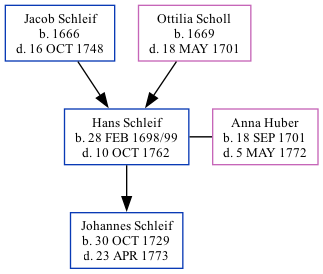 Family Tree