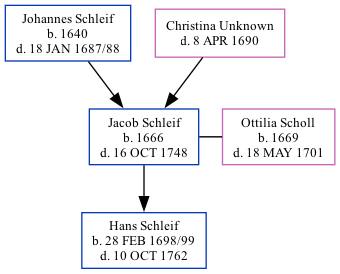 Family Tree