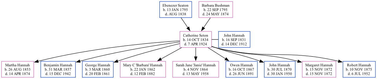 Family Tree