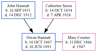 Family Tree