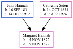 Family Tree