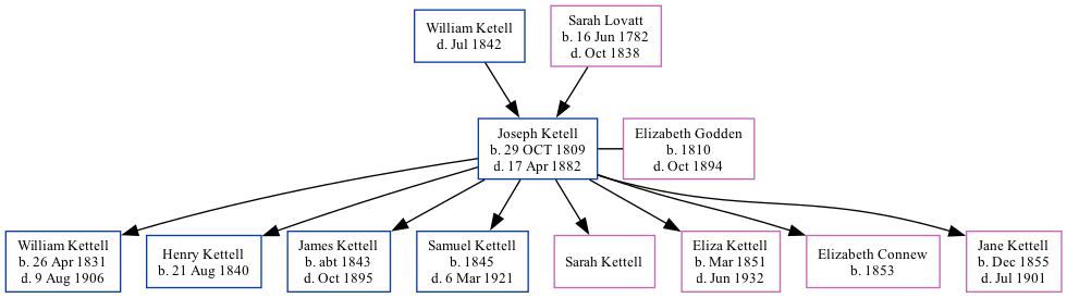 Family Tree