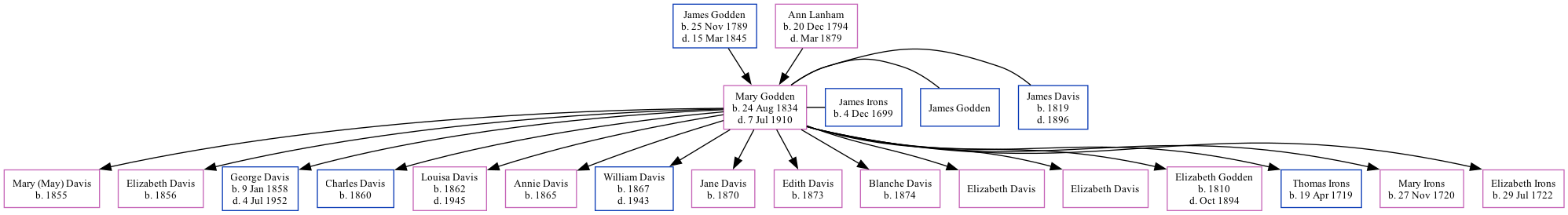 Family Tree