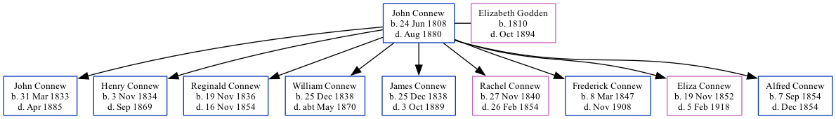 Family Tree