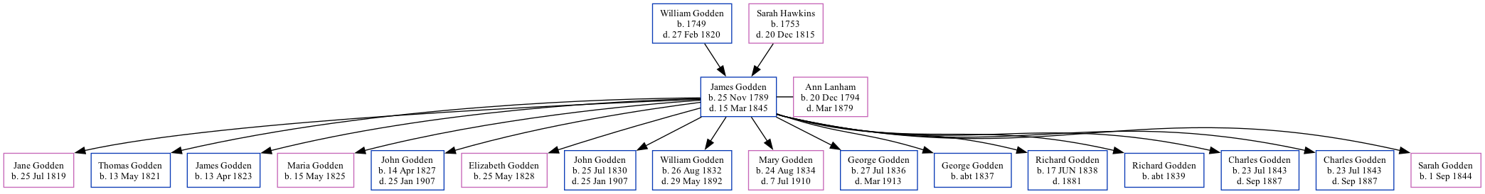 Family Tree