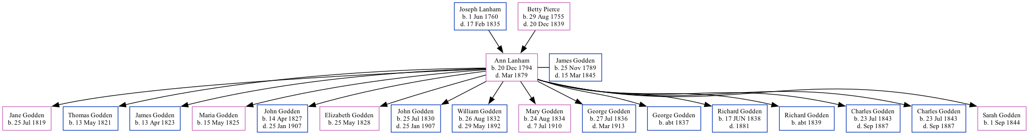 Family Tree