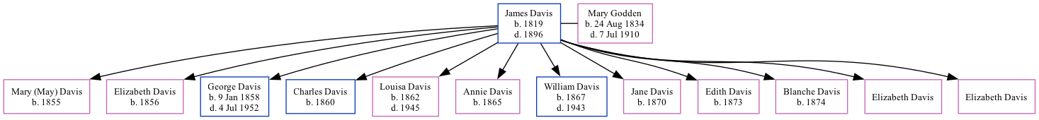 Family Tree