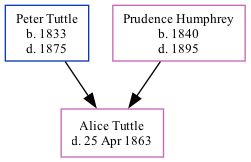 Family Tree