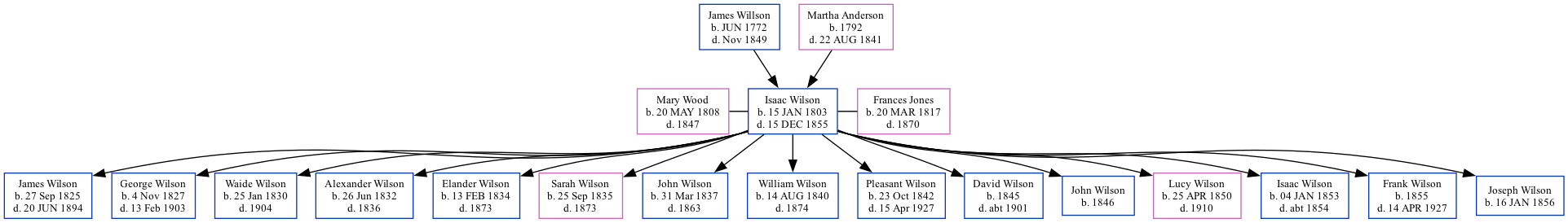 Family Tree