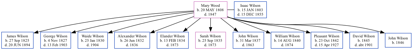 Family Tree