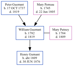 Family Tree