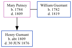 Family Tree