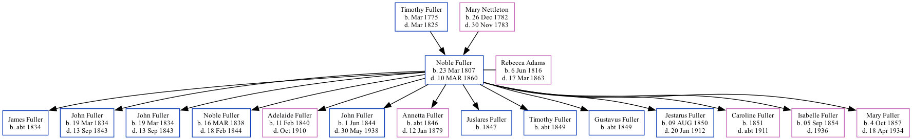 Family Tree