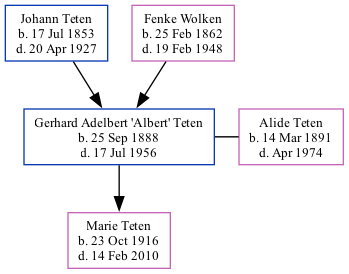 Family Tree