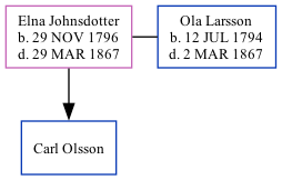 Family Tree