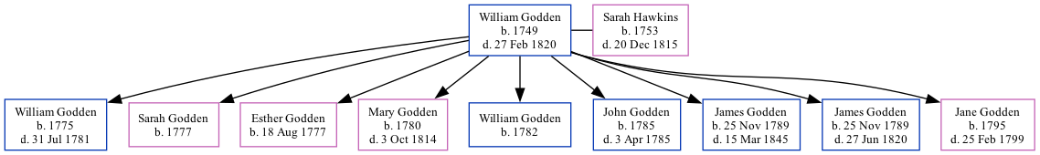 Family Tree