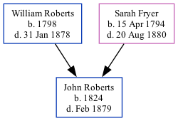 Family Tree