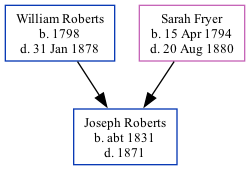 Family Tree