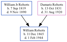 Family Tree