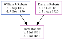 Family Tree