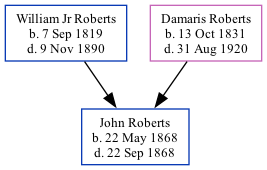 Family Tree