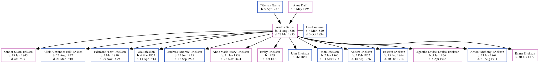 Family Tree