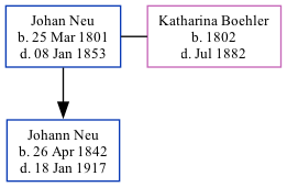 Family Tree