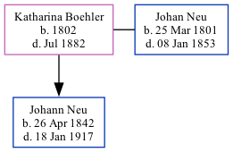 Family Tree