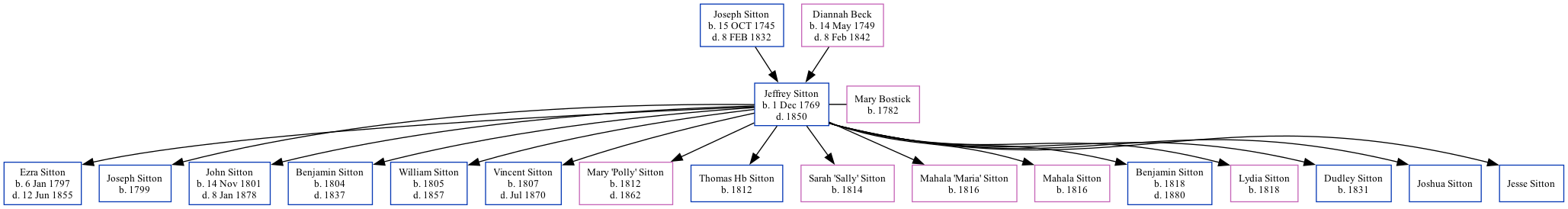 Family Tree