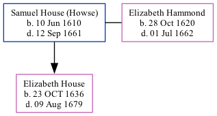 Family Tree