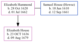 Family Tree