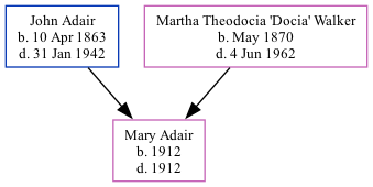 Family Tree