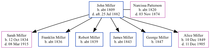 Family Tree