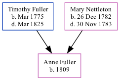 Family Tree