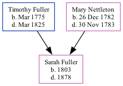 Family Tree