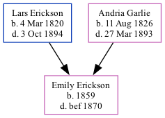 Family Tree