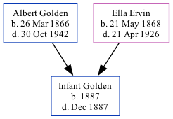 Family Tree