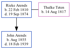 Family Tree